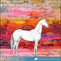 Horse Color:Gray Gold Champagne Tobiano Appaloosa 