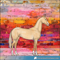 Horse Color:Gold Cream Champagne Dun Brindle 