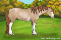 Horse Color:White Spotted Smoky Black Pearl Sabino Rabicano 