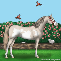 Horse Color:Smoky Creme Roan Frame 