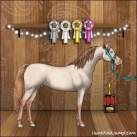 Horse Color:Gold Champagne Roan Dun Rabicano 