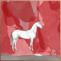 Horse Color:Liver Red Dun Pearl Sabino Appaloosa Brindle