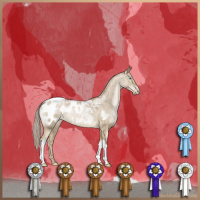 Horse Color:Chocolate Palomino Pearl Dun Appaloosa Brindle 