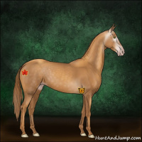 Horse Color:Gray Gold Champagne 