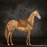Horse Color:Gray Gold Champagne 