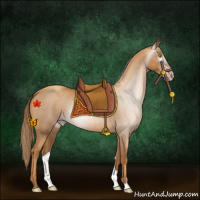 Horse Color:Gray Gold Champagne 