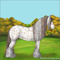 Horse Color:Amber Champagne Appaloosa  and Amber Champagne Appaloosa 