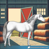 Horse Color:Black Appaloosa Rabicano 