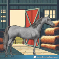 Horse Color:Black Appaloosa Rabicano 