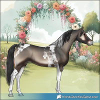 Horse Color:Blue Onyx Tobiano 