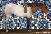 Horse Color:Buckskin Appaloosa 