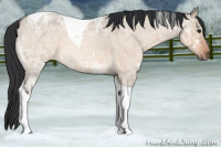 Horse Color:Brown Ice Roan Dun Tobiano