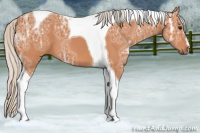 Horse Color:Silver Bay Ice Tobiano 