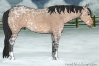 Horse Color:Brown Ice Roan Dun 
