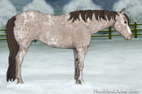 Horse Color:Classic Champagne Ice 