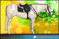 Horse Color:White Spotted Perlino 