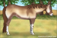 Horse Color:Red Onyx 