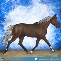 Horse Color:Liver Chestnut Mushroom 