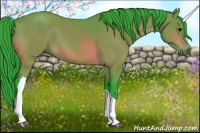 Horse Color:Watercolor Bay