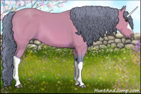 Horse Color:Watercolor Bay 