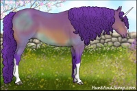 Horse Color:Watercolor Bay 