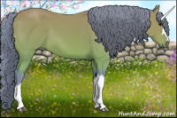 Horse Color:Watercolor Bay 