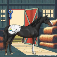 Horse Color:Liver Chestnut Appaloosa 