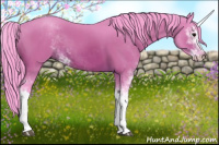 Horse Color:Watercolor Bay Sabino 