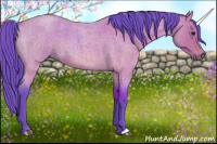 Horse Color:Watercolor Bay Roan 