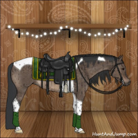 Horse Color:Brown Dun Tobiano Rabicano Brindle