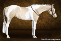 Horse Color:Chocolate Palomino Pearl Dun Sabino Tobiano 