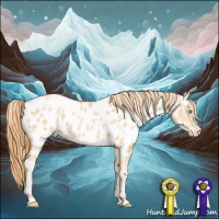 Horse Color:Buckskin Pearl Appaloosa Rabicano and Buckskin Pearl Appaloosa Rabicano