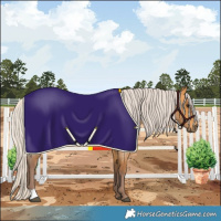 Horse Color:Chocolate Silver Buckskin Roan 