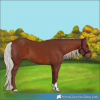 Horse Color:Chocolate Silver Bay 