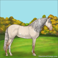 Horse Color:White Spotted Silver Sable Champagne Dun