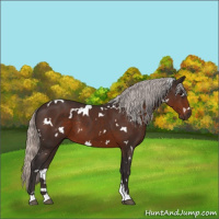 Horse Color:White Spotted Silver Brown 
