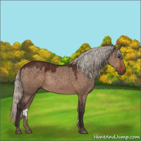 Horse Color:Silver Brown Dun 