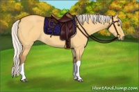 Horse Color:Chocolate Silver Buckskin Roan Dun 
