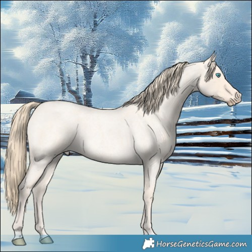 Horse Color:Perlino Roan 