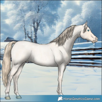 Horse Color:Perlino Roan 