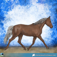 Horse Color:Silver Black 