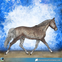 Horse Color:Silver Brown Ice Onyx Sabino Rabicano 