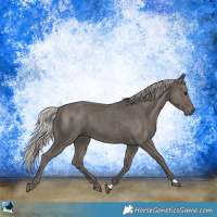 Horse Color:Silver Black 