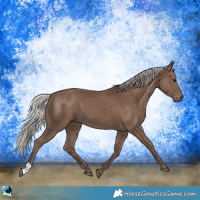 Horse Color:Silver Black 