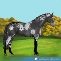 Horse Color:Black Ice Tobiano 