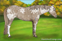 Horse Color:Chocolate Palomino Ice 