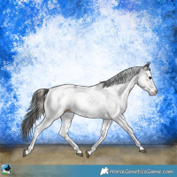 Horse Color:White Spotted Blue Onyx Rabicano 