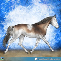 Horse Color:White Spotted Liver Red Onyx Mushroom