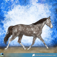 Horse Color:Liver Red Dun Ice Sabino 