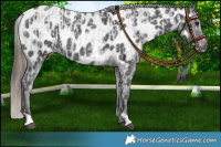 Horse Color:Smoky Black Varnish  and Smoky Blue Roan Near Leopard 